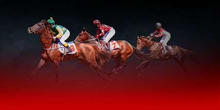 horse_racing